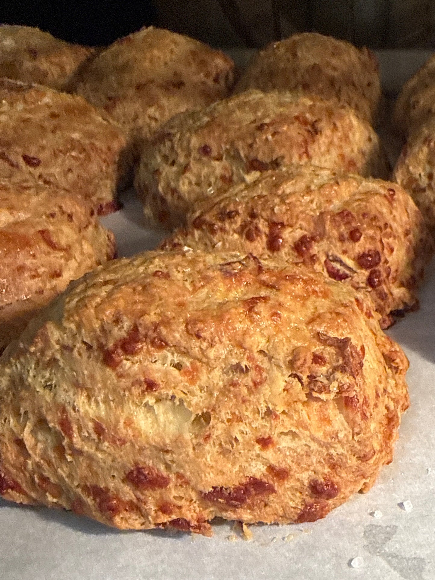 Bacon Cheddar scones in the oven