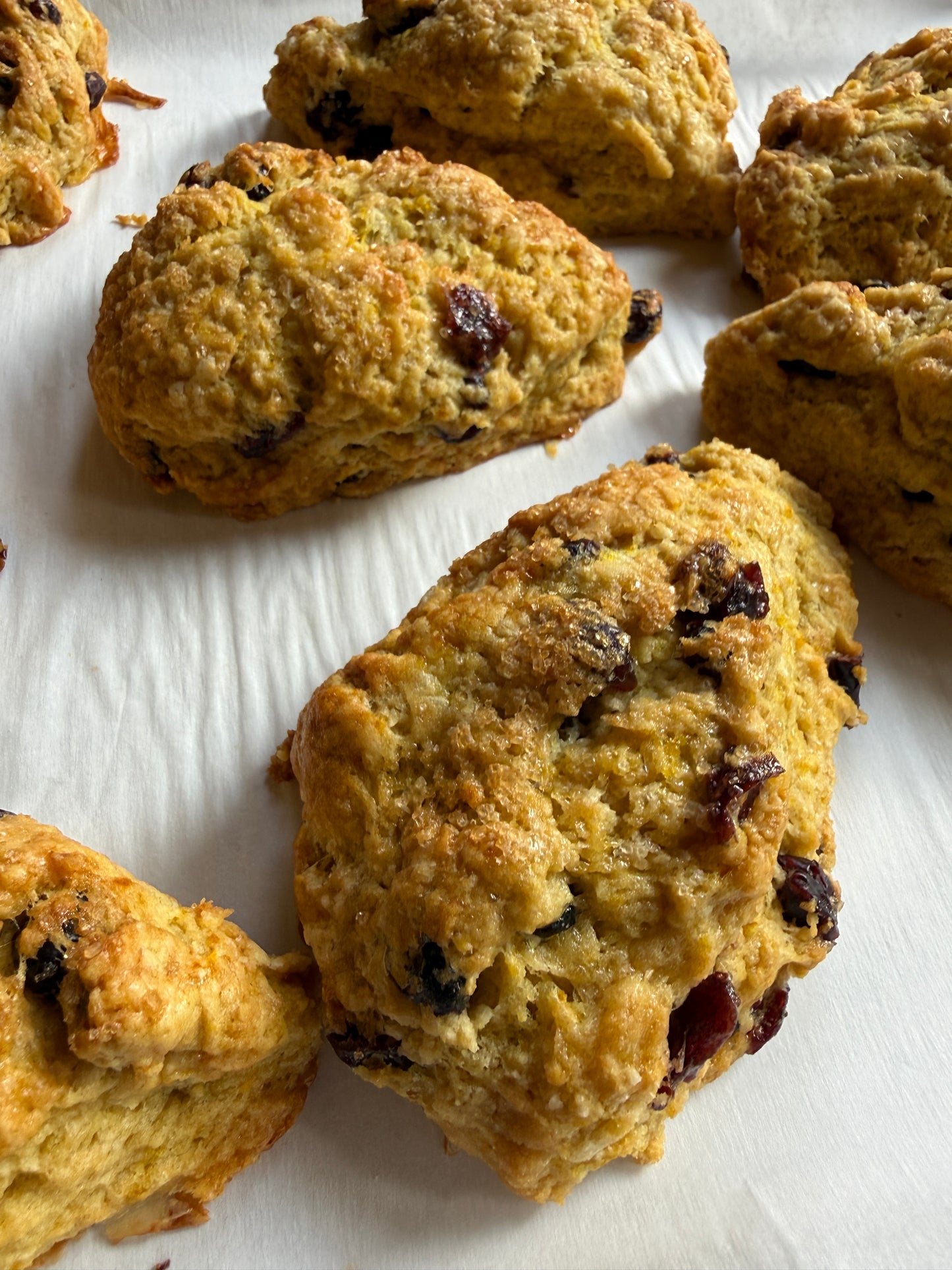 Butterhouse Orange Cranberry scones on a white surface